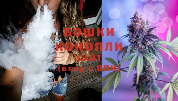 дурь Алзамай