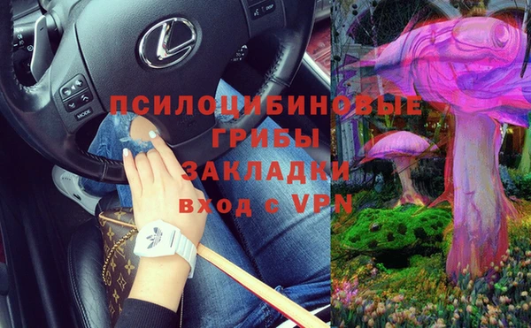 спайс Алексин
