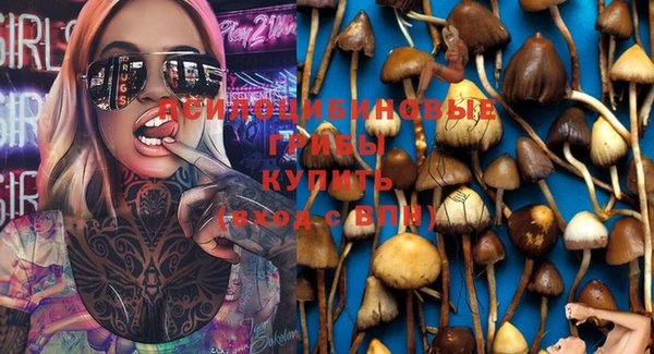 дурь Алзамай