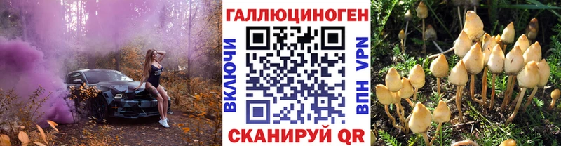 блэк спрут ONION  Чебоксары  Галлюциногенные грибы прущие грибы 